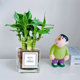 �Ĳ���4֧����}���֗Uˮ��͏d�k���҃�����GֲС���ԃ����՚�