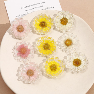 ins����С���°ٴ�͸���r�ոɻ���֬�NƬ�l�A���DIY�Ʒ�������