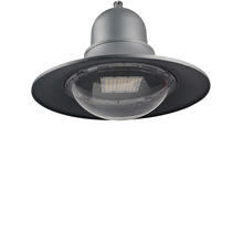 60W�S��ֱ�N��Ʒ�|�A�Α����X���T���bLEDͥԺ���^�|��3-5��