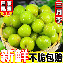 ��������������ӑ��������rˮ���ЋD��������Ӱ��]