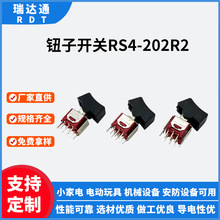 aRS4-202R2^o_P 6_2nN_P ԴӴ_P