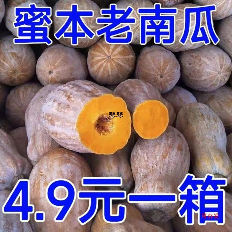 红土新鲜云南蜜本老南瓜农家自种宝宝辅食软糯面甜品种