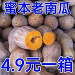 红土新鲜云南蜜本老南瓜农家自种宝宝辅食软糯面甜品种