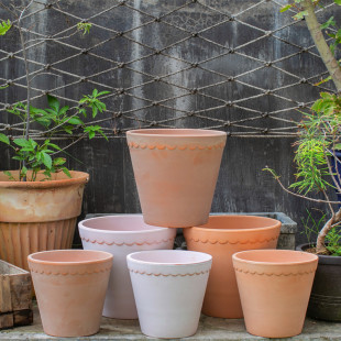 ���n���t�ջ��貨��߅�Gֲ͸�������¼����տ��ȼ�������ֲ��@��