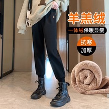羊羔绒运动裤女冬季束脚加厚卫裤小个子八分加绒棉裤外穿休闲裤子