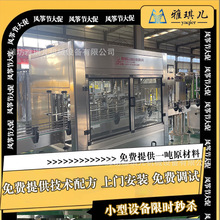 小型洗洁精生产加工设备 洗衣液生产线 洗发水生产线机器