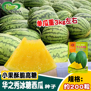 ԥˇ�A֮��������ϷN�� �GƤ�S��С�P���ϷN�� �ˈ@�r��������