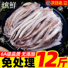 新鲜鱿鱼须鲜活冷冻二本足章鱼生鲜尤鱼铁板鱿鱼串腿海鲜商用批发