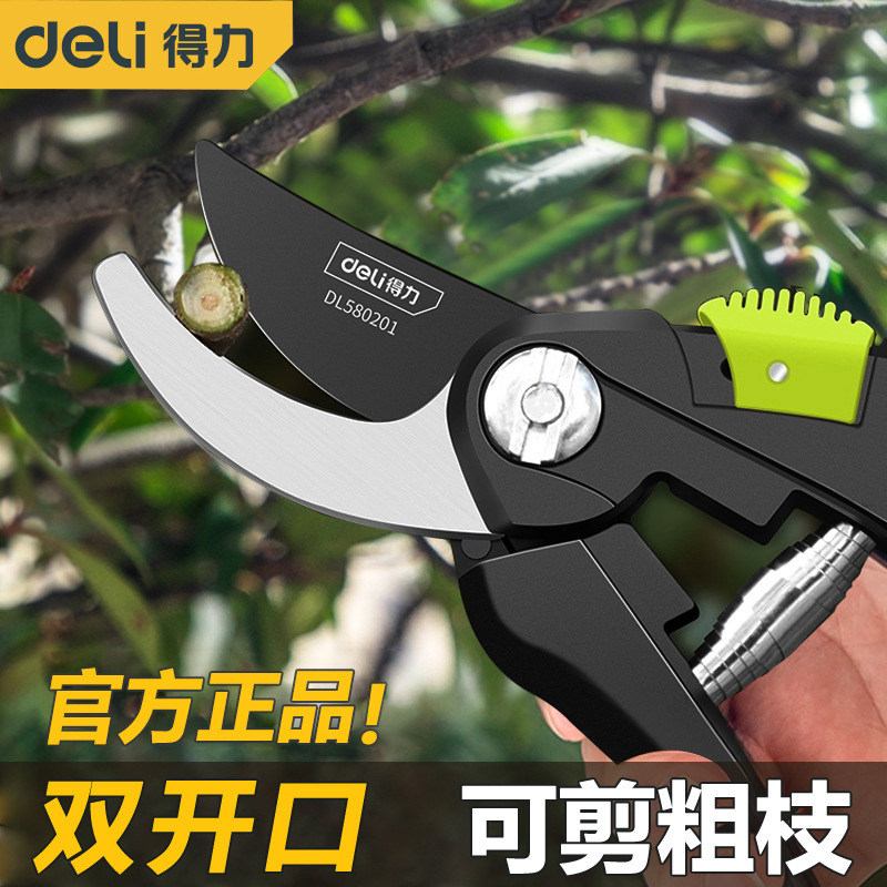 得力DL580201剪枝剪刀園林花藝修剪樹枝剪刀果樹剪子大剪園藝工具