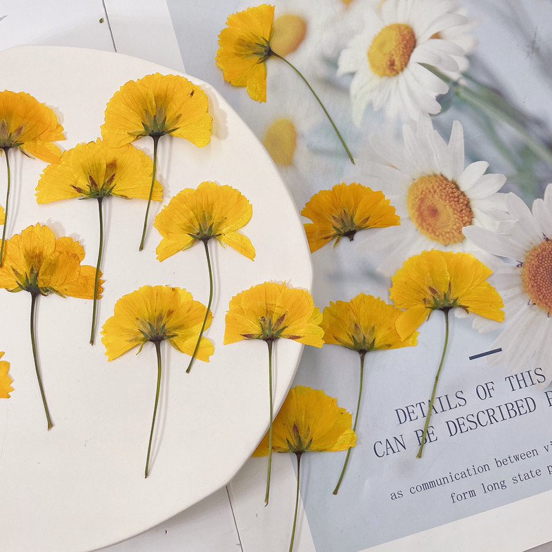 微信图片_20220919171222