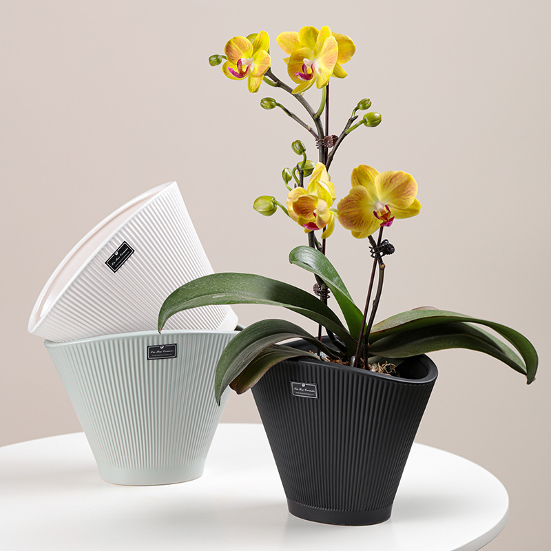 创意大口径花盆陶瓷家用盆景花盆容器蝴蝶兰花盆兰花专用盆批发