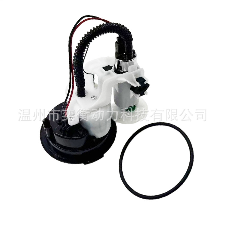 Cross-border applicable 7710721 BMW motorcycle S1000RR.S1000K46 2009-2014 model fuel pump