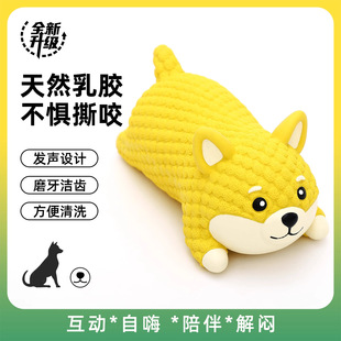 Dog Toys to Relieve Boredom, Latex Sound, Bite-Resistant and Molar-Resistant, Puppies, Bichon Frize, Corgi, Large Dogs, Pet Dog Supplies