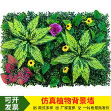 羳ֲGֲϠT^ֲݵ