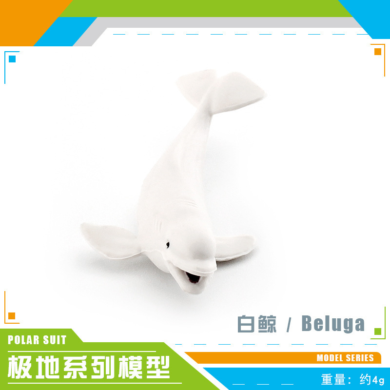 BL-5121 벨루가 4g