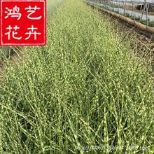 ���~âˮ��ֲ�：�~â���Nâ�ݻ��~â��Ȕ�����JȔ��ؾG������