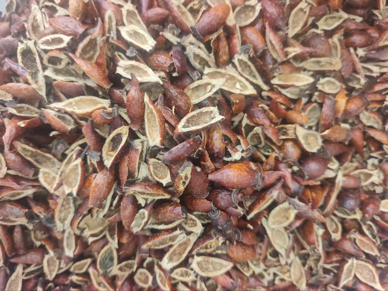 Dried Cherokee Rose Fruit Jin Ying Zi 500g Hand Seeded Slices for Tea Wine and Soup overview