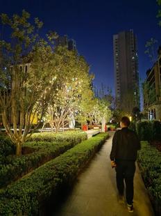 led outdoor wishing bottle light colorful amber glass light tree lighting hanging tree Internet celebrity clock-in Meichen decorative light