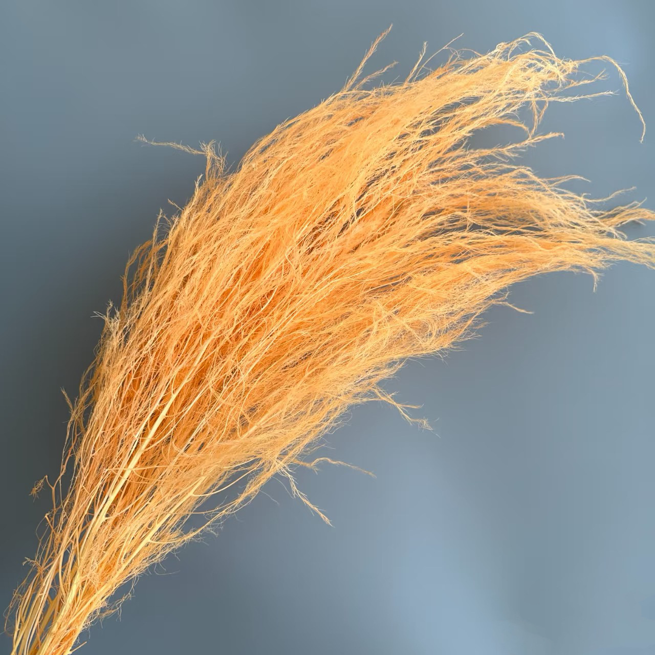 Florista sueña material floral suave decoración de bodas hierba de pelo seco flores eternas multicolores al por mayor