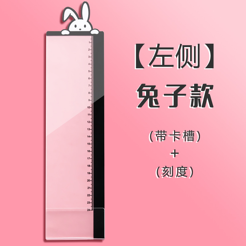 작은 흰 토끼 모델(왼쪽)