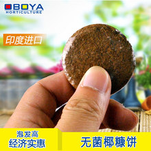 椰糠饼  椰饼   宠物垫材  园艺土  小椰饼基质土 营养土
