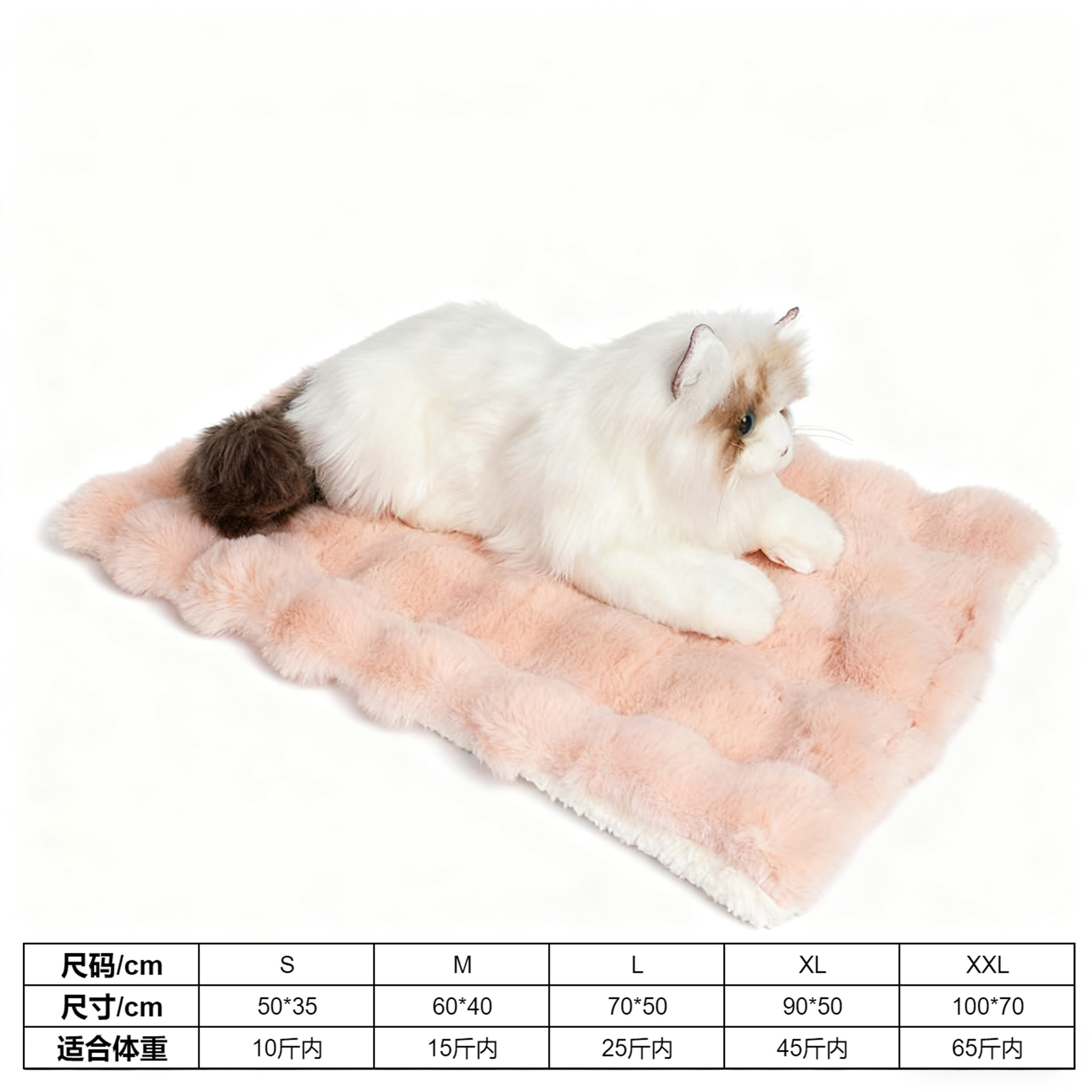 핑크색, 두껍고 높이 있는