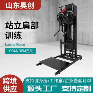 Multifunctional Arm Strength Device Double Arm Side Lift Trainer Gym Commercial Side Lift Shoulder Strength Bird Equipment