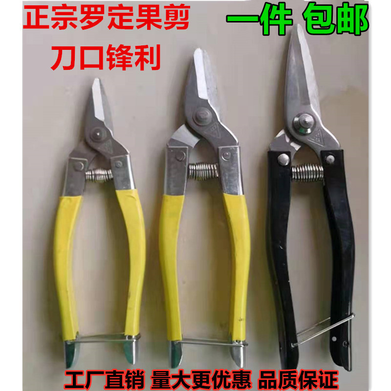 罗定果剪不锈钢长梢剪中黄小黄稀果剪园林剪摘果剪橘子剪刀修枝剪