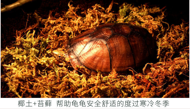 738ab4a9-b7e1-4c84-b9bb-742b0ea4fd83.jpe