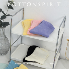 襪子女夏季中筒襪春秋彩色運動透氣ins潮黑白中長襪棉純色短筒襪