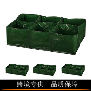 �羳6�ָ�W�߲˷Nֲ��ֲ����ֲ��������������35�Ӂ����@�Nֲ��