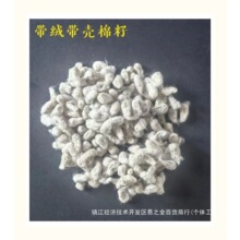 ޻ѻc޻Ѽtɫɫq޻Ѵﻯw½