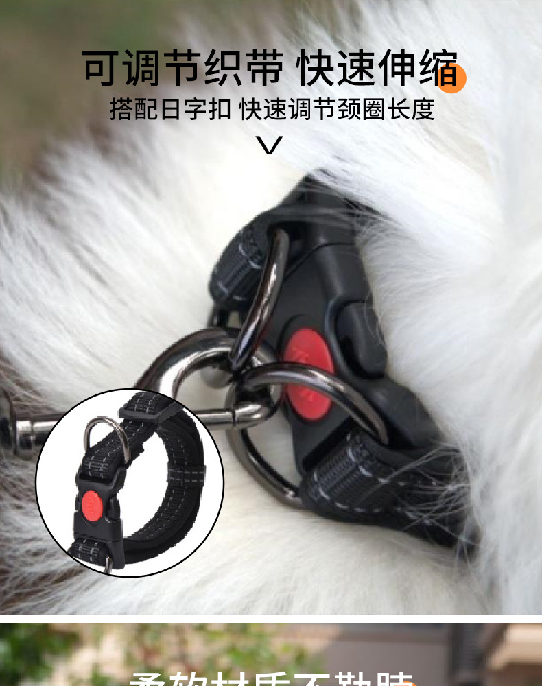 狗绳_04.jpg