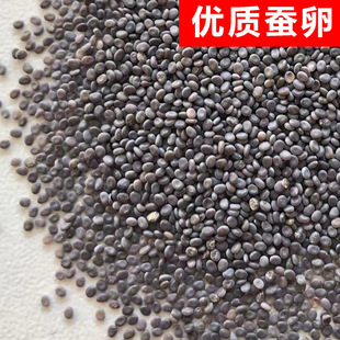 �Q�����Q���Q�ьW���B�Q���b�Q�N���Q�ͷ��������rɣ�~����������