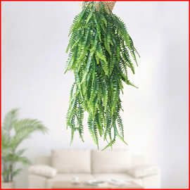 仿真植物蕨草藤条波斯草壁挂 植物墙配材羊齿蕨排草绿植软装美化