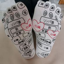 �羳����Ѩλ��Ħ�m�����Z��ֺ��ָѨλ�D�m�ӈD���m���w���j�D�m
