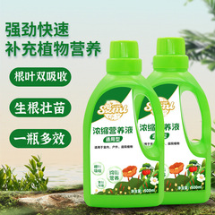 生長魔励栄液家庭用鉢植え発財樹緑羅月季多肉植物種花卉養蘭花肥