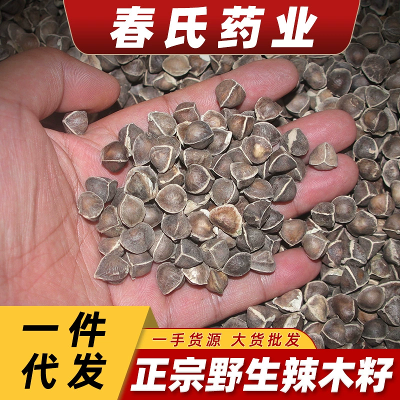 Крупные частицы индийских Семян Моринги Традиционная китайская медицина Юньнань Моринга Семена оптом Моринга Семена Роль африканских Семян Моринги