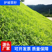 �ļ�����ѾG�����̲��ѹ�������ƺ�N���o�¸���é�;G�����݃���