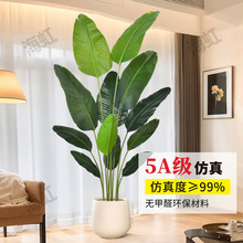 仿真绿植天堂鸟大型仿真落地式盆栽仿生植物造景组合仿真旅人蕉