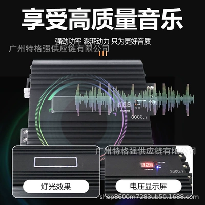 Other Car Video 3000W for driving subwoofers, with