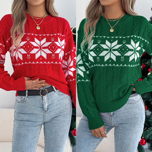 2025�ﶬ�W��ѩ���D�����\�L�����^ë�� ���R�d�羳Ů�b�}�Q��