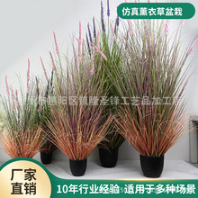 �羳����޹�²ݻ�c���÷���ֲ��ٻ���@�L���b�����β������