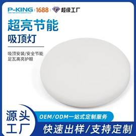 LED支架灯;吸顶灯;室外壁灯