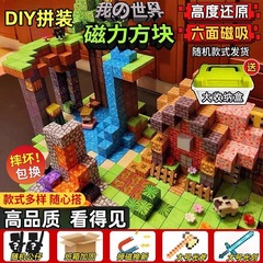新款磁力积木我的磁力世界方块拼装积木磁吸diy益智儿童玩具代发