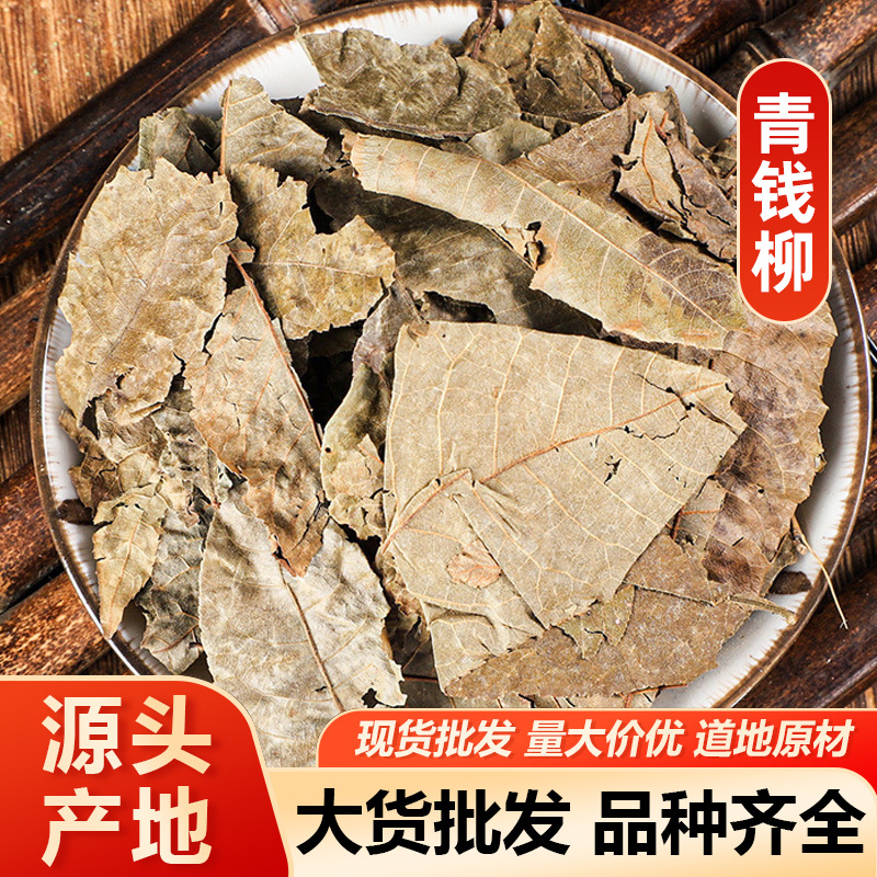 青钱柳 摇钱树麻柳青钱李中药材青钱柳 包邮代磨粉量大从优