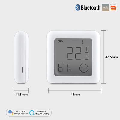 Graffiti Bluetooth intelligence Temperature and humidity sensor digital remote control intelligence Temperature and humidity a sensor Tester