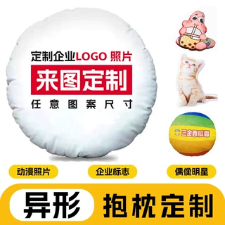 异形圆形抱枕diy定做来图定制包丑猫无白边卡通人物宠物可印照片