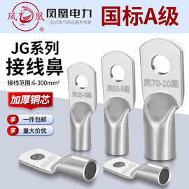 凤凰JG10/16/25/35/50/70/120/150接线端子铜鼻子船用线耳国标A级