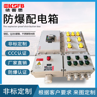 Bxmd Maintenance Power Control Box Aluminum Alloy Custom-Made Emergency Lighting Power Box Inverter Box Explosion-Proof Distribution Box